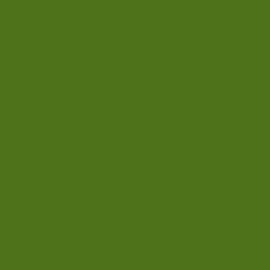 Color Magic Leaf Green Transparent ++ link
