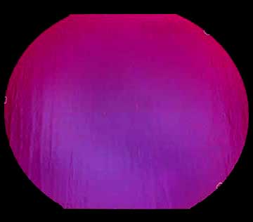 Thin Black - Black Cherry Dichroic 90 COE link