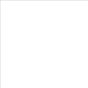 EZ Fire Enamel - Opaque White - 1 oz. link