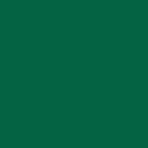 EZ Fire Enamel - Chrome Green - 1 oz. link