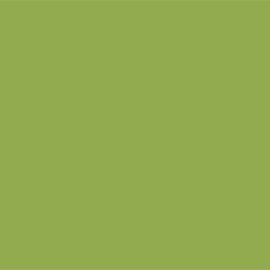 Hi-Fire Opaque Enamel Green link