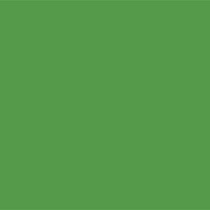 Lo-Fire Opaque Enamel Green link