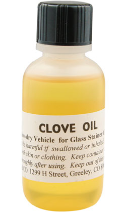 Clove Oil (1 oz) link
