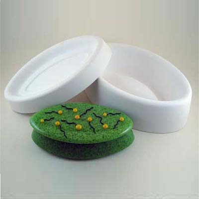 Elliptical Lidded Box Mold - 8 x 5 in. link