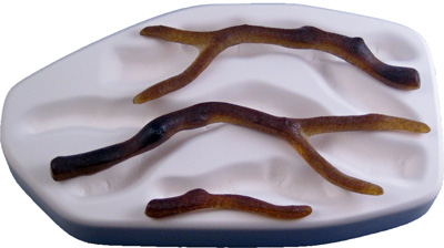 Branches 5 x 8.75 x 1.25 in. Glass Casting Mold link