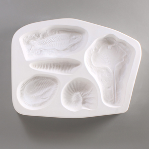 Fossils Mold - 9.25 x 7 in. link