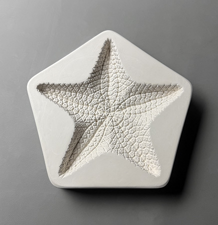 Large Starfish Mold - 9.5 x 9.25 in. link