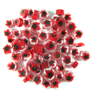 Maple Leaf Millefiori Slices - 96 COE link