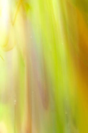 Medium Amber/ Lime Green/ Opal link