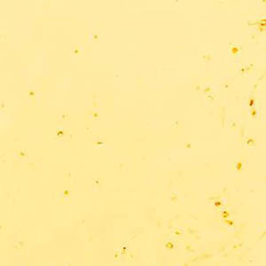 Lighter Amber link