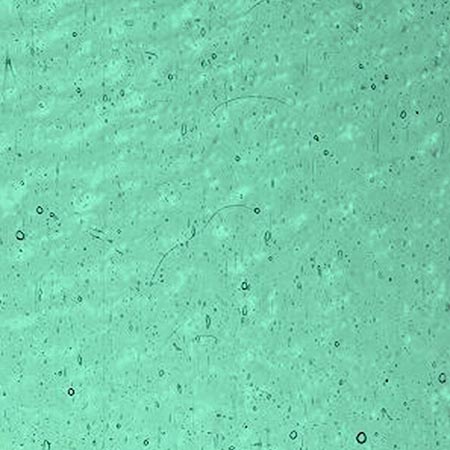 Light Blue Green Granite link