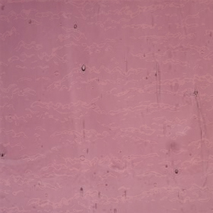 Lighter Purple Cathedral Granite photo