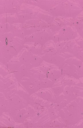 Light Violet Cathedral Wavolite link