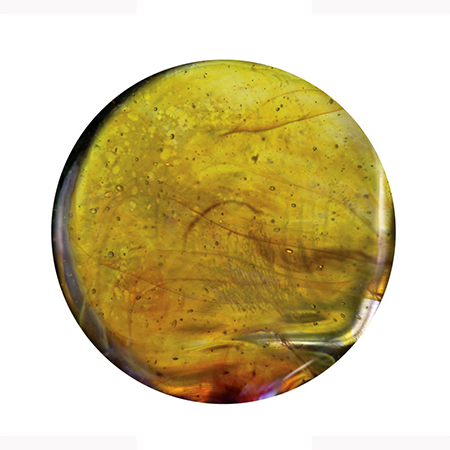 Exotic Citrus Yellow 20 in. Rod 33 COE (1/4 lb. minimum order) link