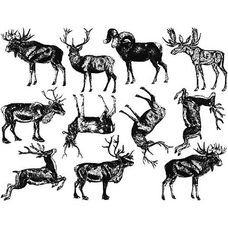 Small Antler Animals Black Decals link