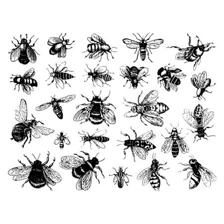 Bees Black Decals link