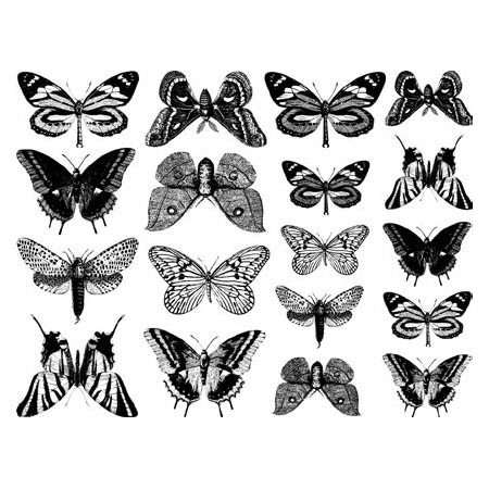 Butterflies Black Decals link