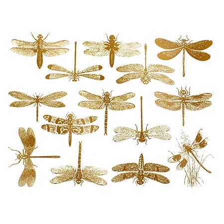 Dragonflies Gold Decals link