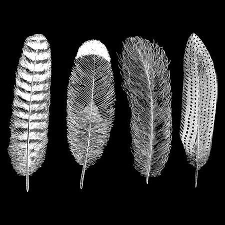 Feathers Mica White Decals link