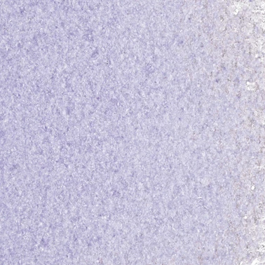 Grape Transparent Fine Frit 96 COE (8.5 oz. jar) link
