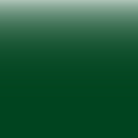 Traditional Stain - Dark Green - 1 oz. link