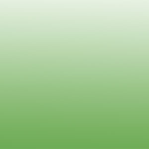 Transparent Enamel - Green link