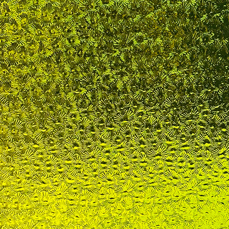 Pear Florentine (Medium Yellow Green) link