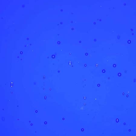 Wissmach 96 COE Midnight Blue Transparent Fusible link