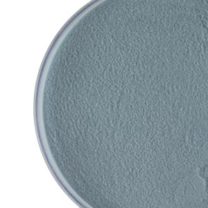 Steel Blue Transparent Powder Frit 96 COE link