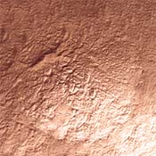 CW CO1