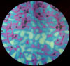 Thin Clear - Aurora Borealis Pattern Red/ Silver Blue Dichroic 90 COE link