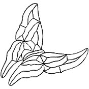 Butterfly - Clear Bevel Cluster 6-1/4 x 6-3/4 in., 9 pieces link