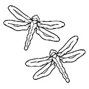 2 Damselflies - Amethyst Bevel Cluster 3-1/3 x 5-1/2 in., 6 pieces each link