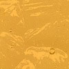 Medium Amber Wavolite link