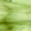 Clear/ Moss Green/ Opal link