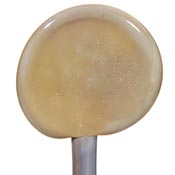Opaque - Sage Green Moretti rod 104 COE (1/4 lb. minimum order) link