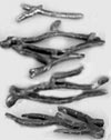 Crown and Branch Set (CR346, BR346) link