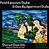 Stained Glass Lite Patterns on CD link
